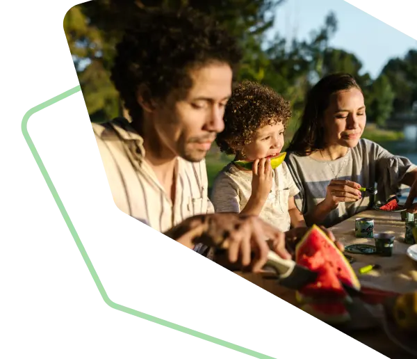 Health and wellness support cover